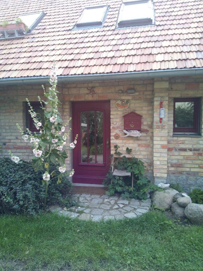 Hofboddenblick Apartment Kuckenshagen Bagian luar foto